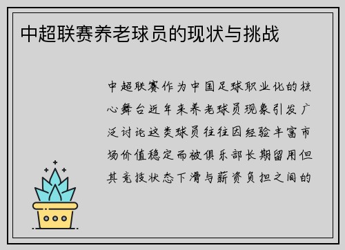中超联赛养老球员的现状与挑战